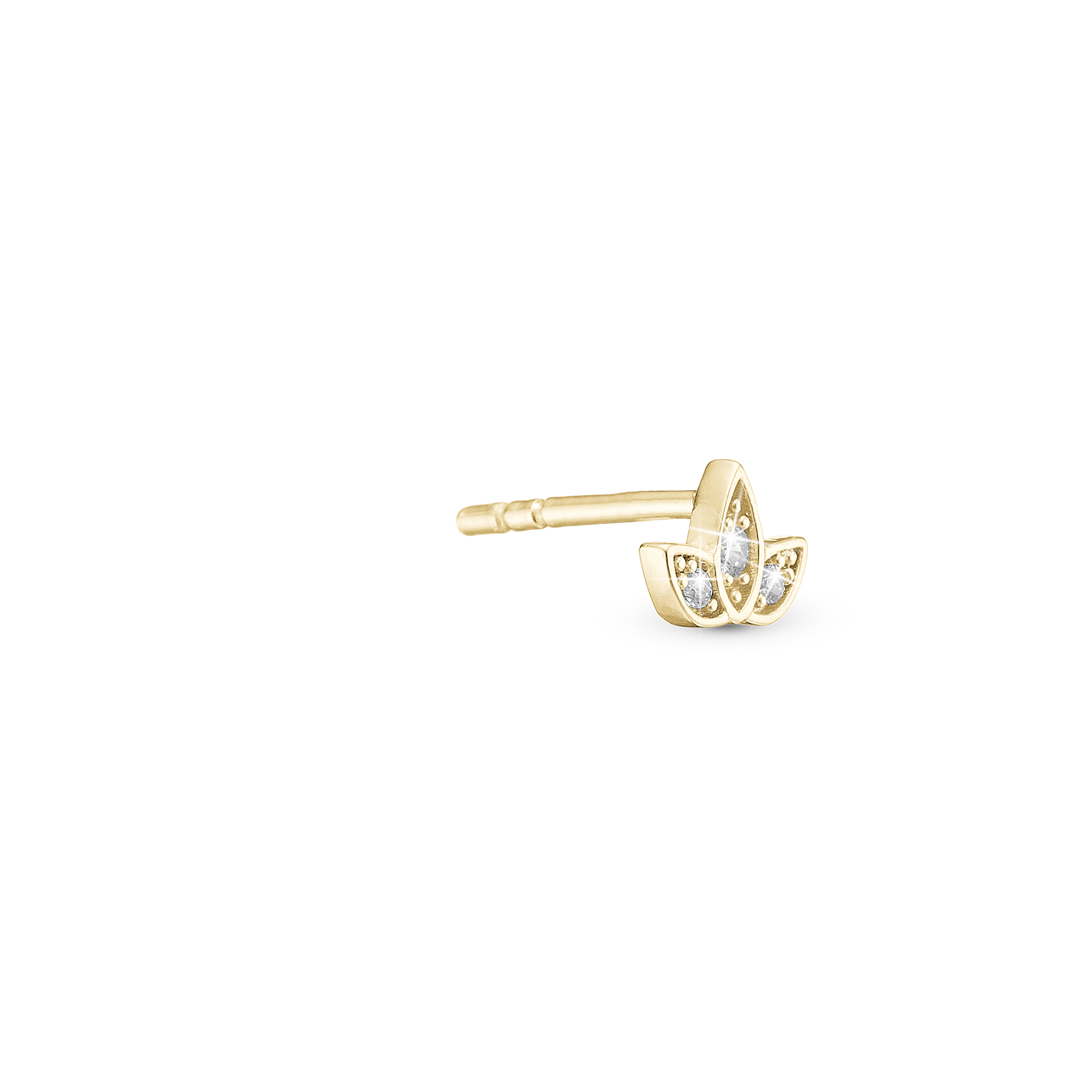 671-G114FLOWER_2.png