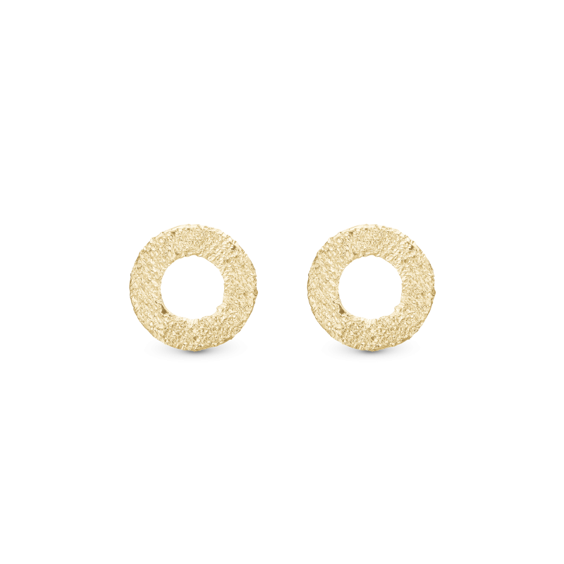 Náušnice - Sparkling Circles ørestikker 2