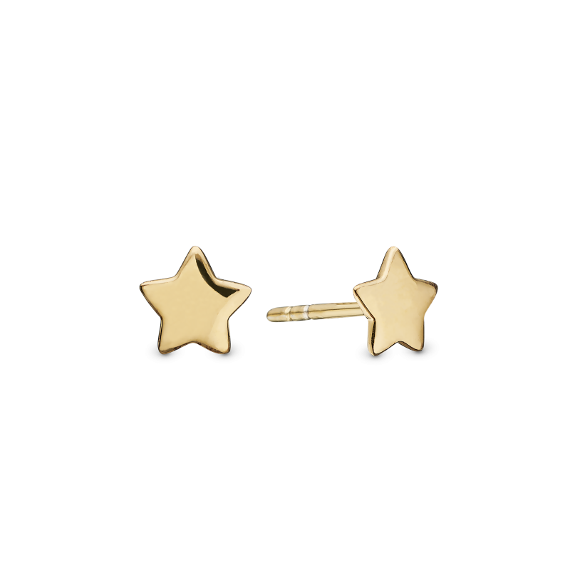 Náušnice - Shiny Star ørestikker 2