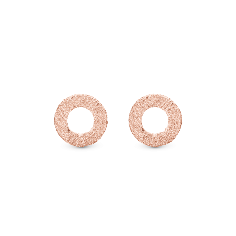 Náušnice - Sparkling Circles ørestikker 2