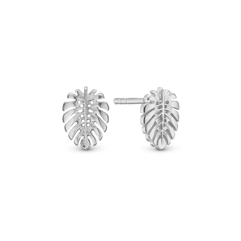 Náušnice - Palm Leaf ørestikker 2