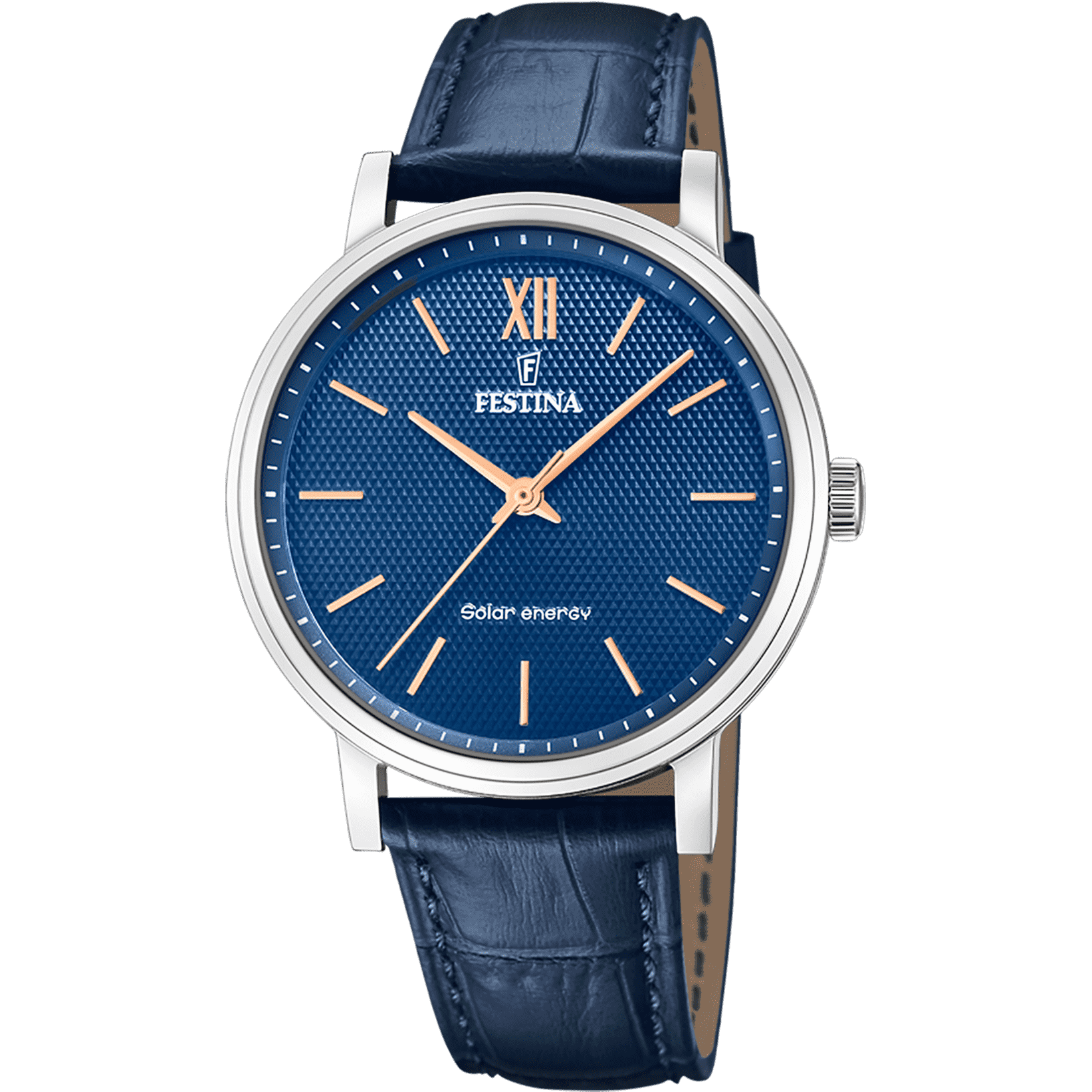 Pánske hodinky Festina F20660/4 2