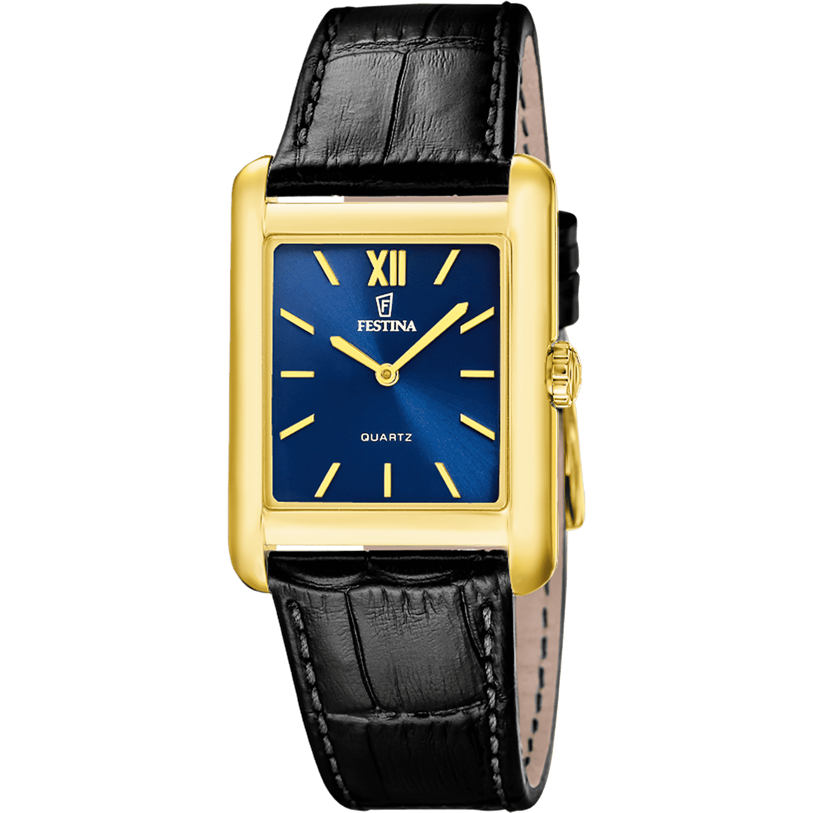 Pánske hodinky Festina F20772/4 2
